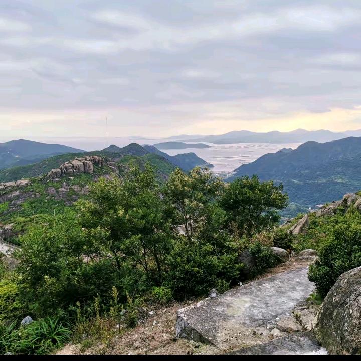 苗儿