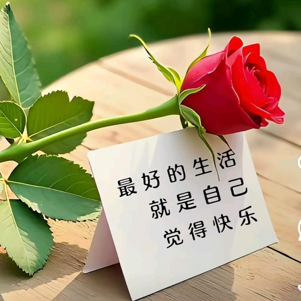把自己❤还给自己