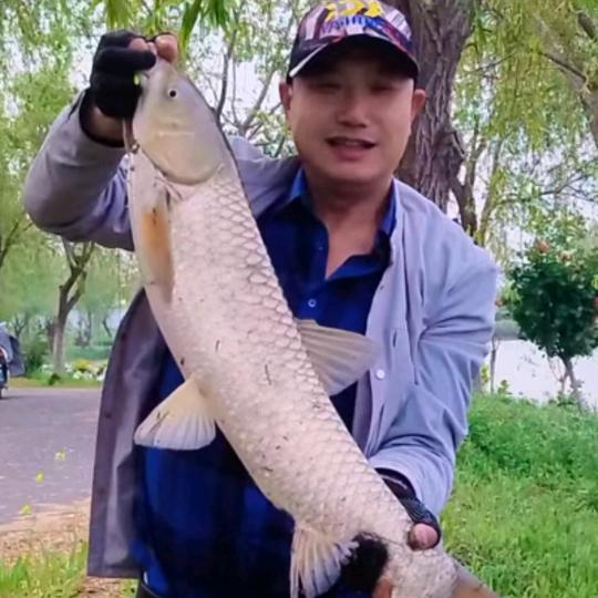 卓长江专业安装粗纱机收购二手设备