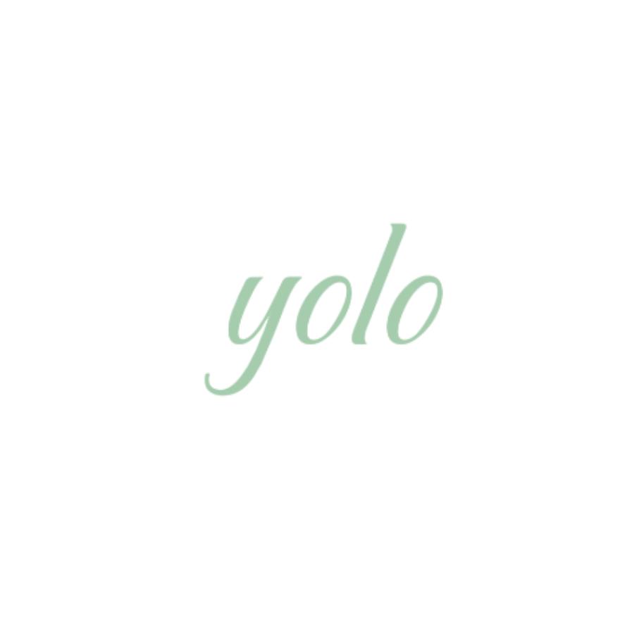 loey_yolo