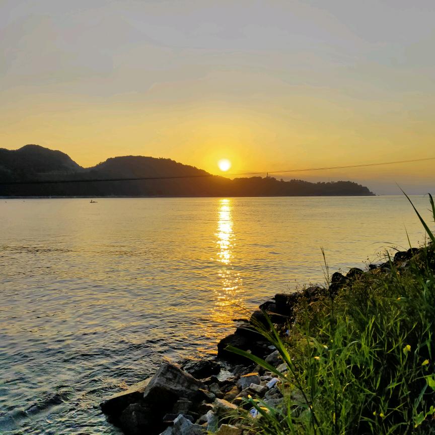 沧海一粟绽放光芒