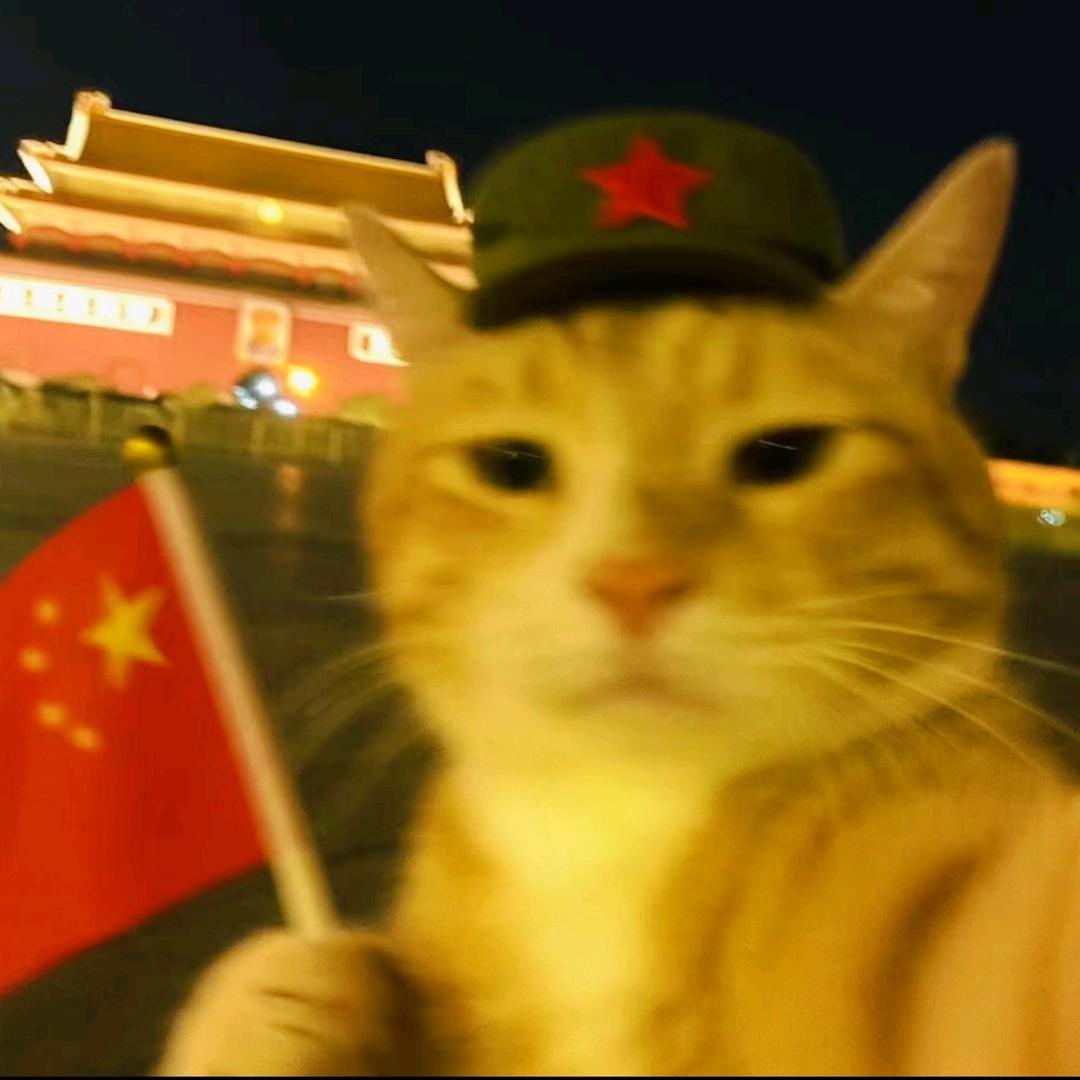 向前 ✿＞◡❛)