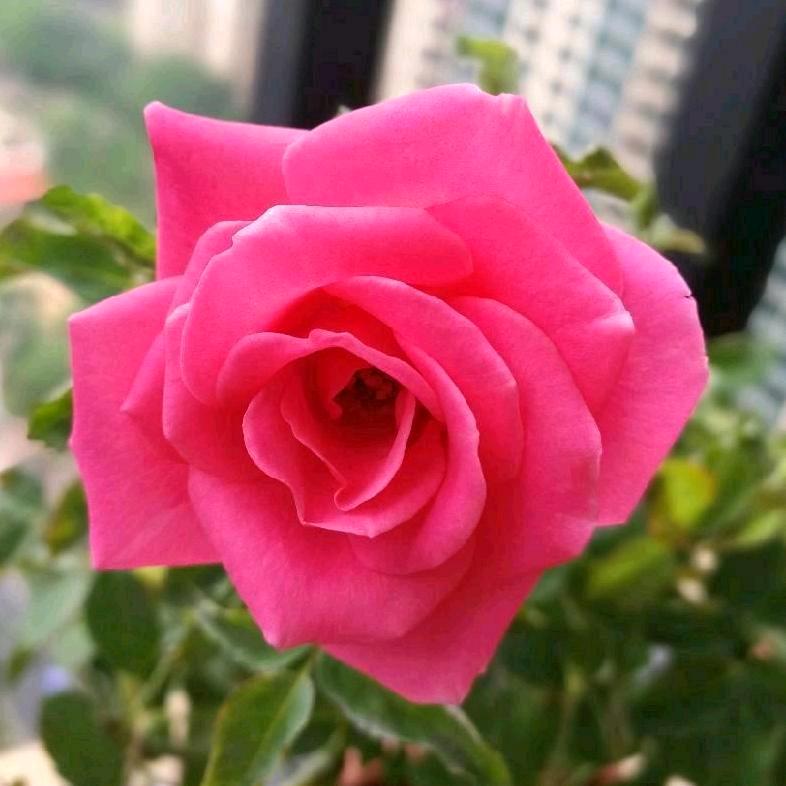 🌈✨🌈开心每一天🌈✨🌈❤️❤️