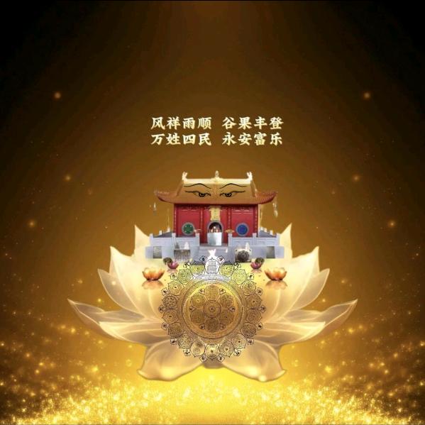 舒弥🙏