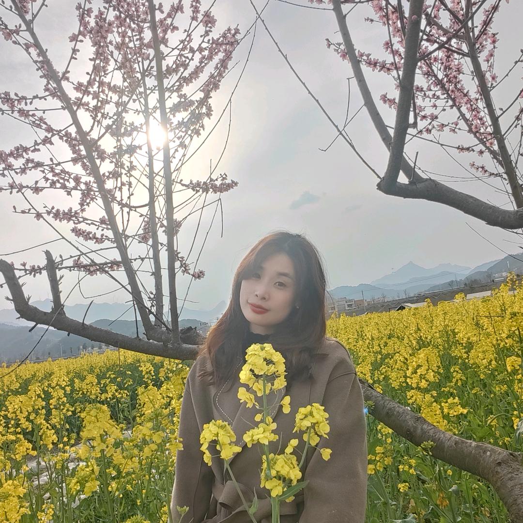 如果没有如果