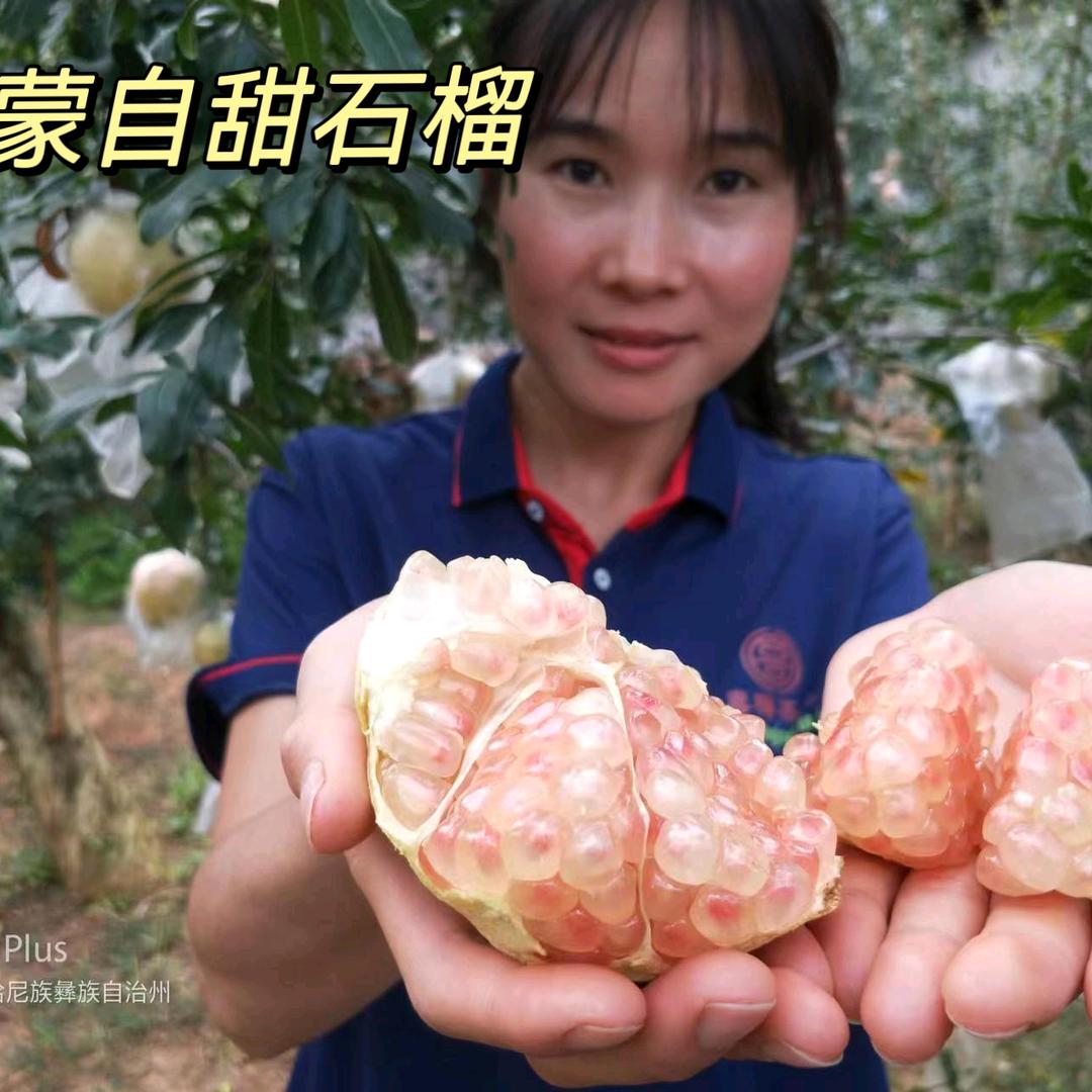 蒙自喜梅茶果(石榴每天22:00前发货)