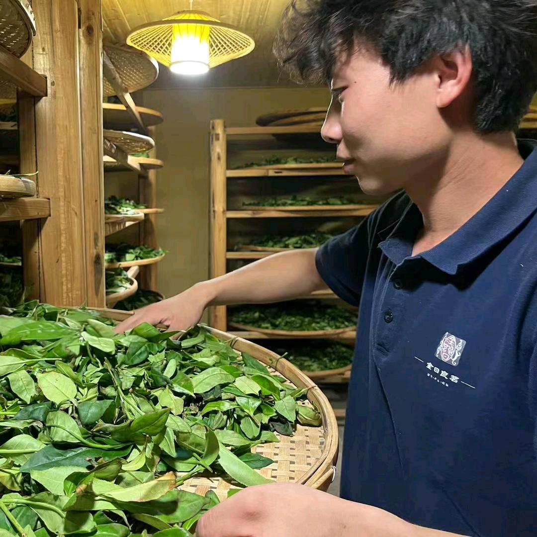 武夷岩茶