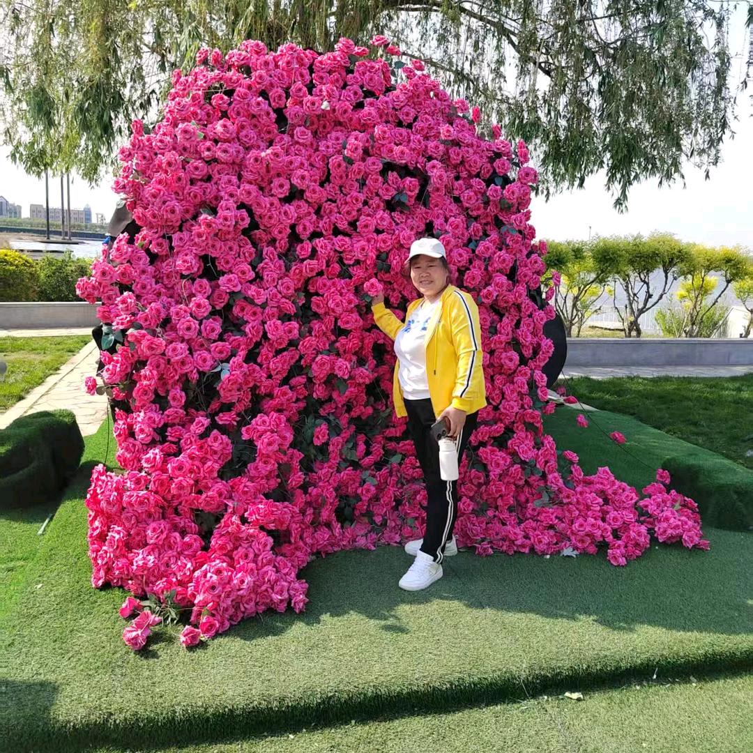 青梅三给片区房屋买卖租赁