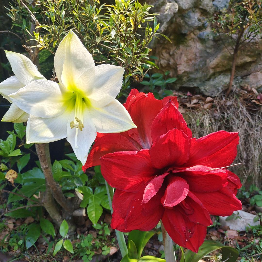 学无止境活到老学到老