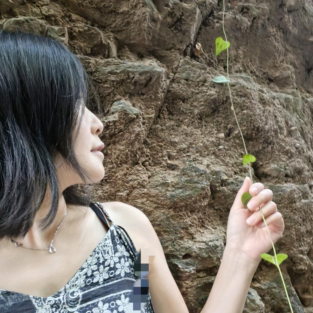 广丰米来窗帘.严严