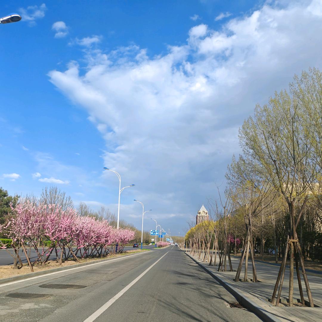 人生如戏，全靠演技