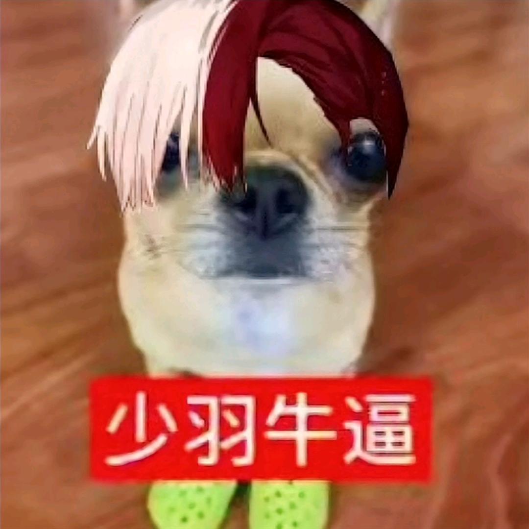 干垃拉不出
