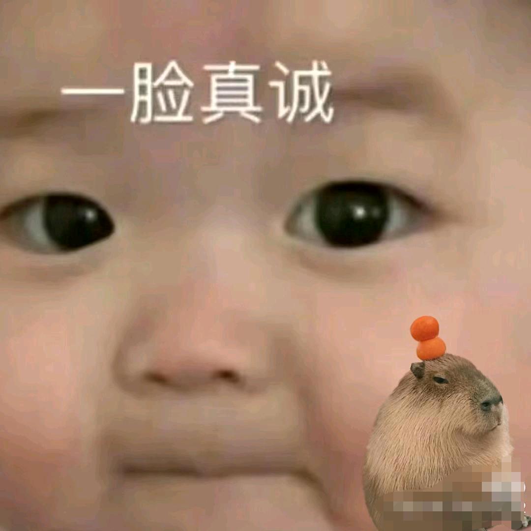 湘漂