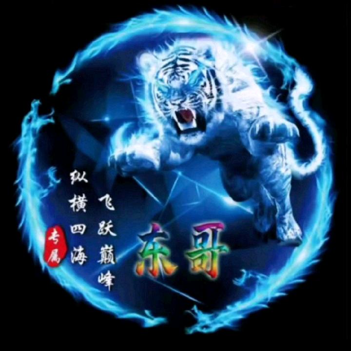 纵横四海