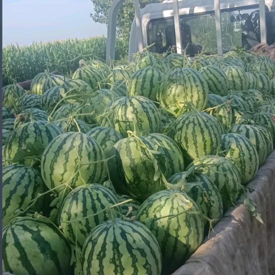 今天好明天会更好！