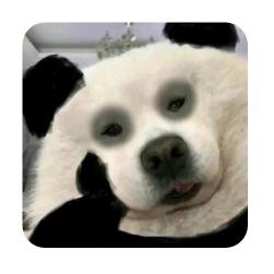 三德