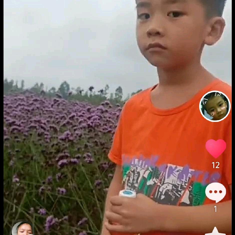事与愿违