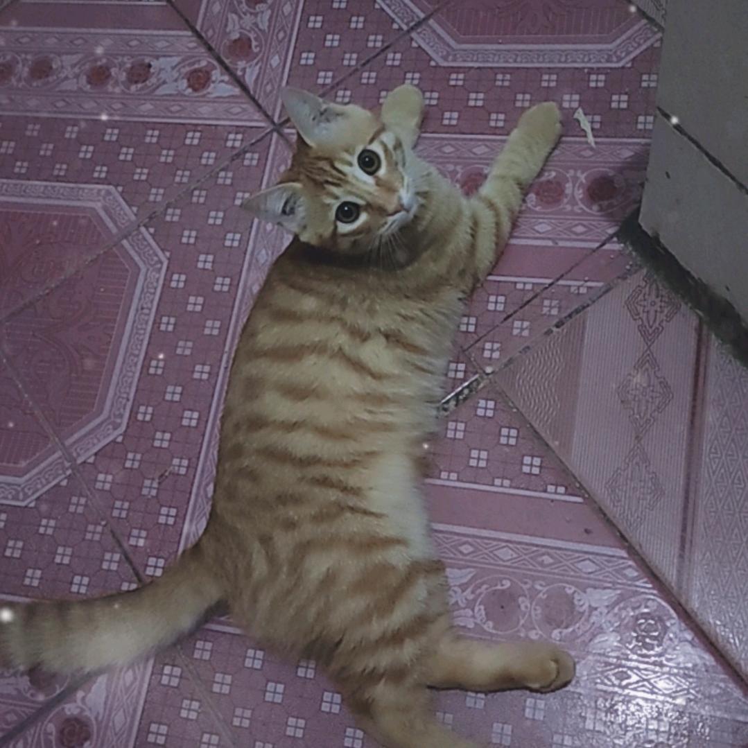 春风暖阳