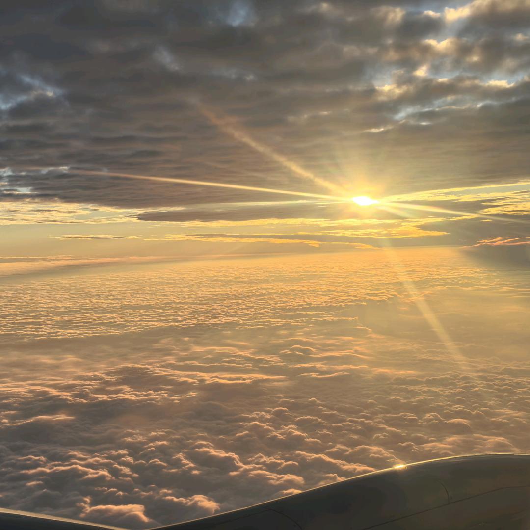 贝贝（拒绝熬夜）🦌💎