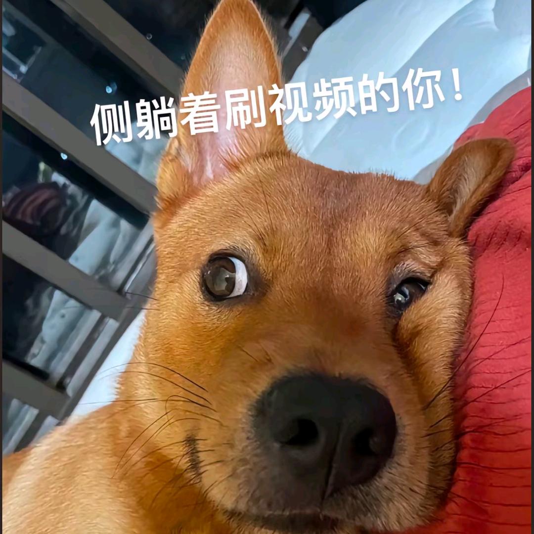 无所吊谓