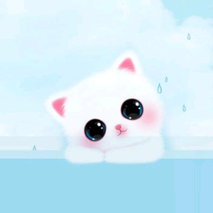 不是雪