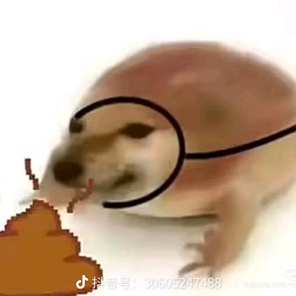 .........