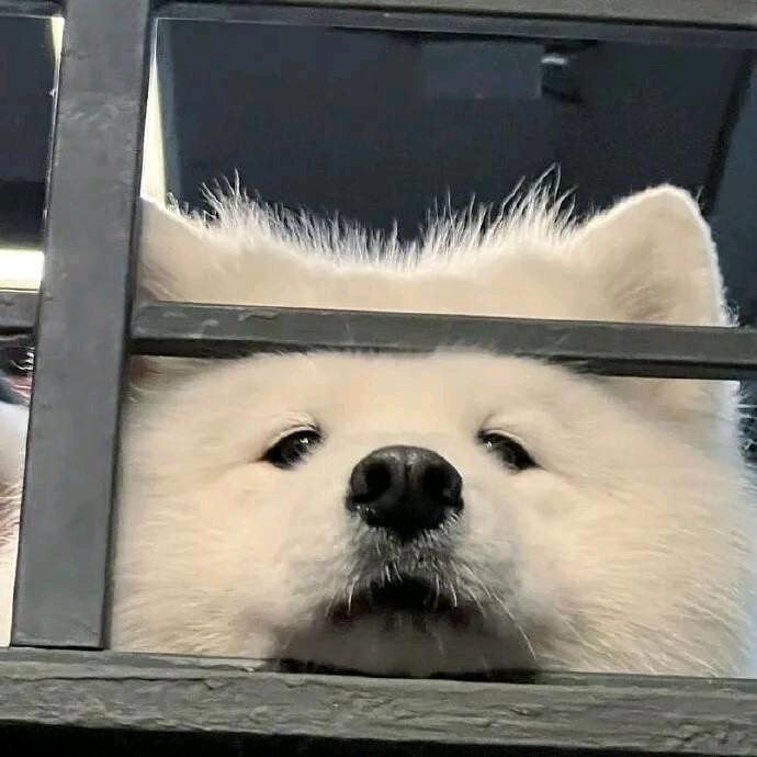 OAQ