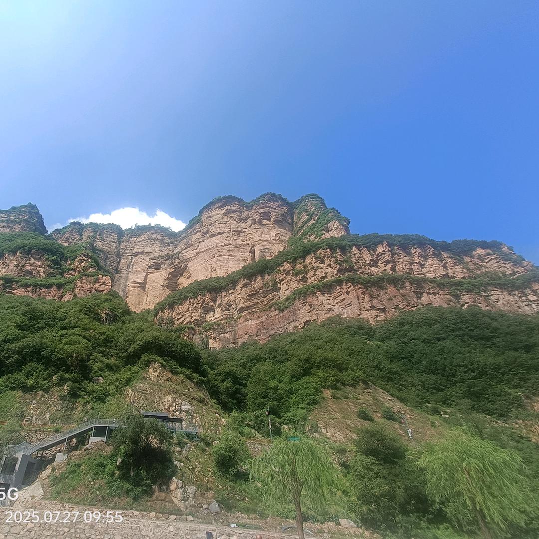 九月鼠