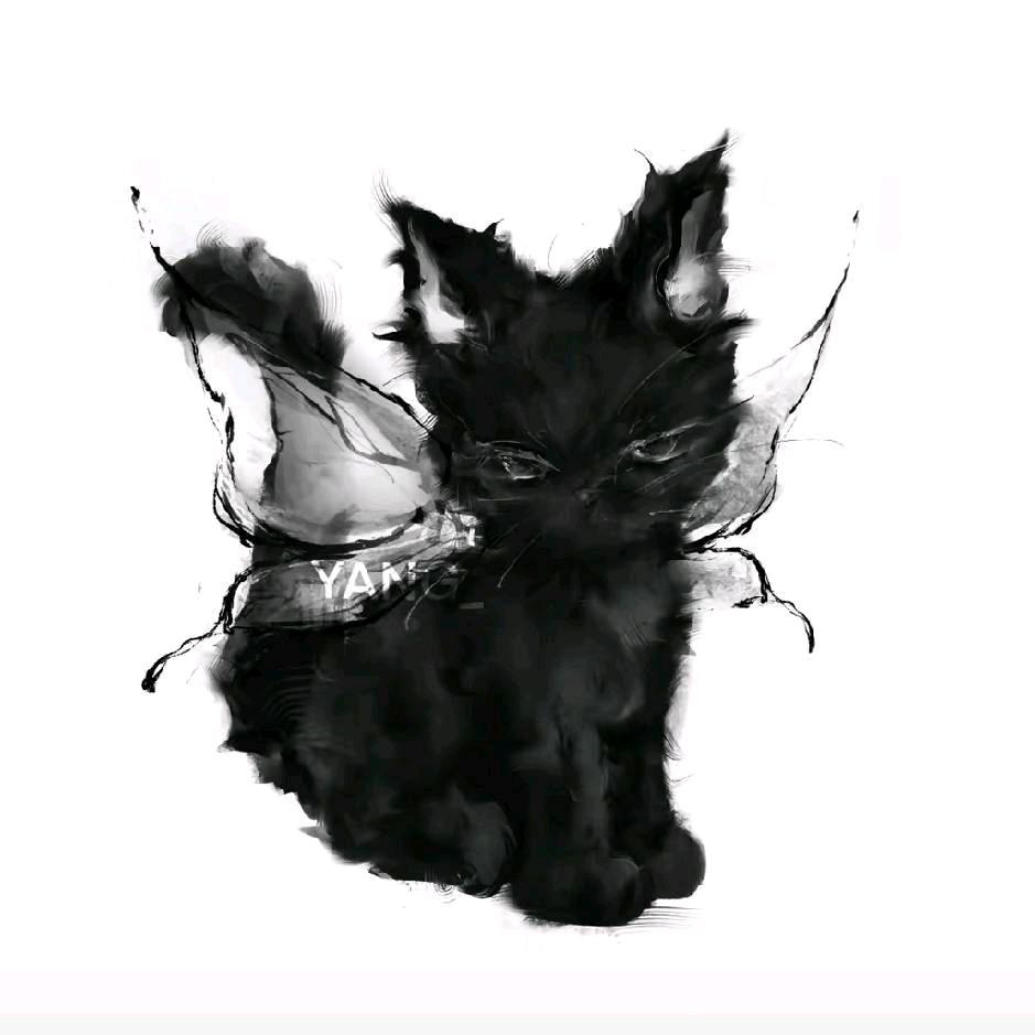 小猫咪也不知道它会掉毛
