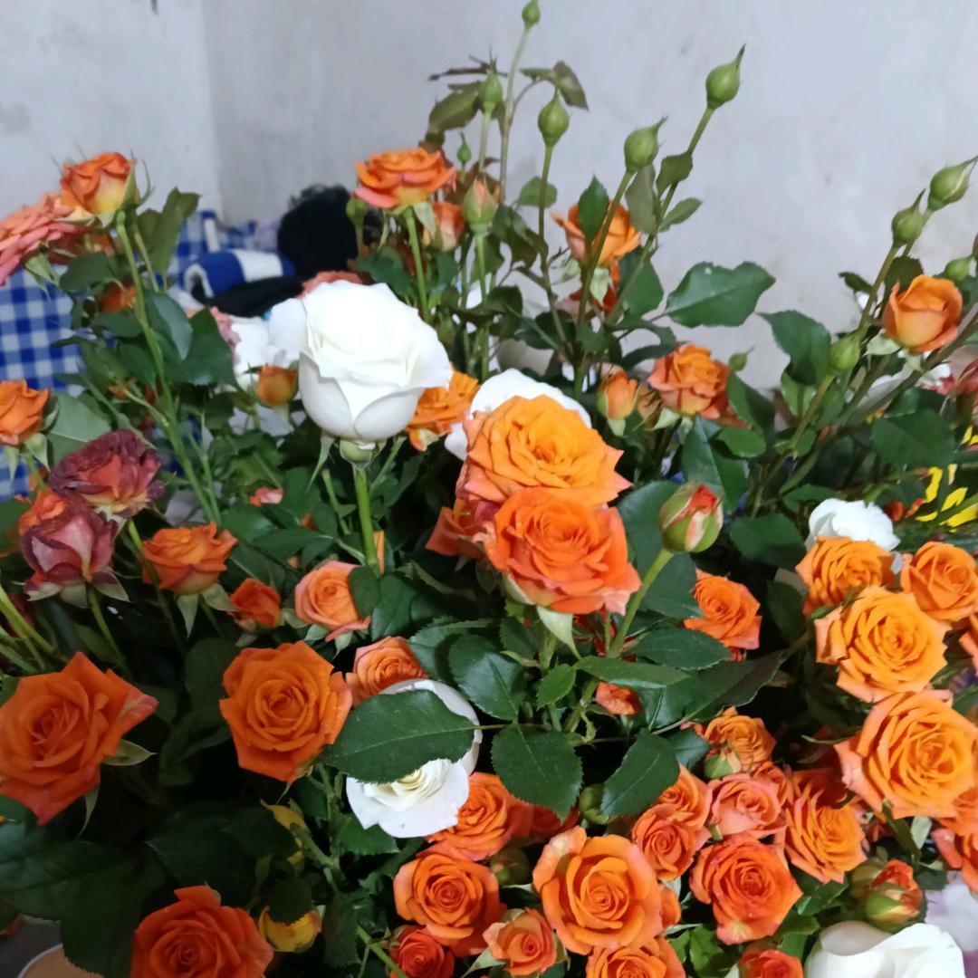我在远方
