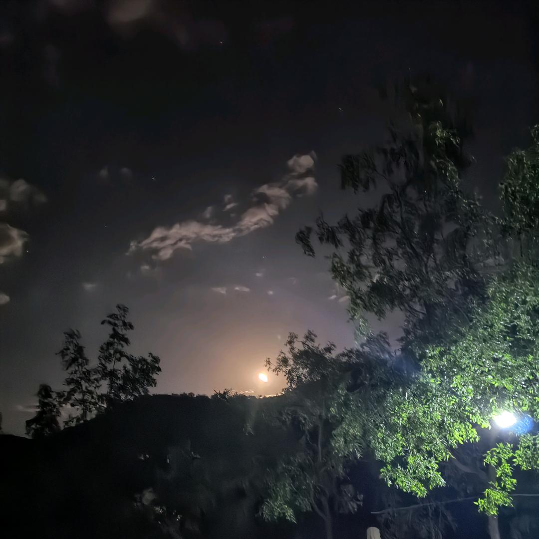陕北小郝