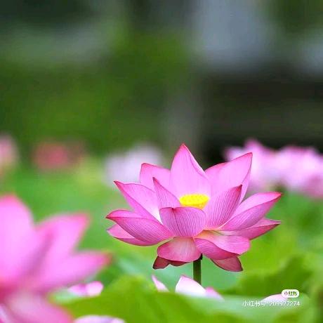 似水流年