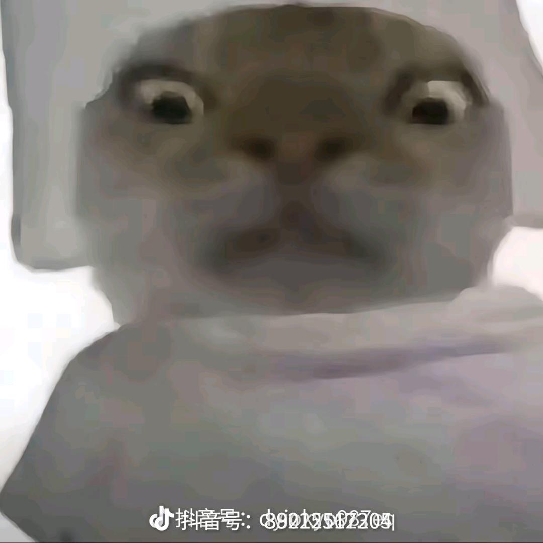 虚
