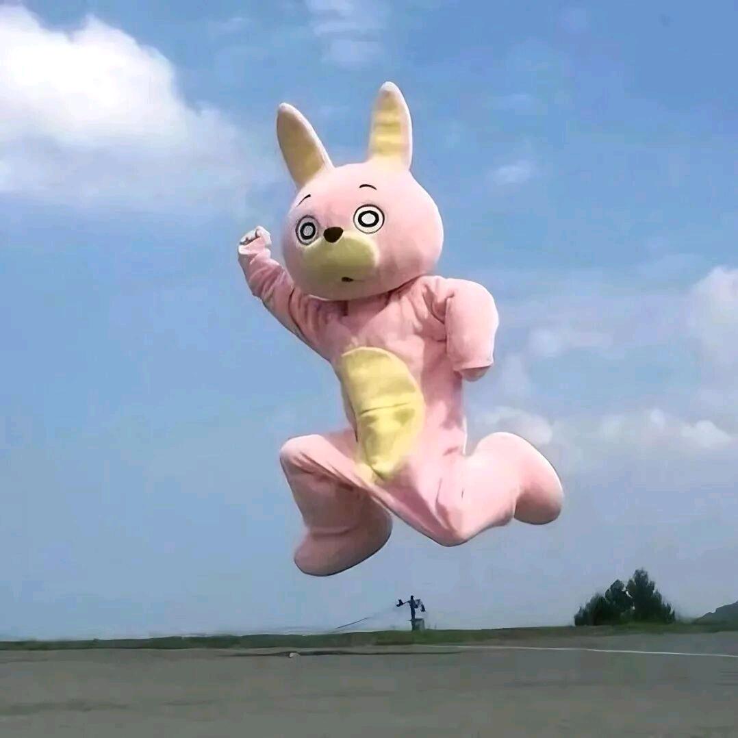 🍋。头像