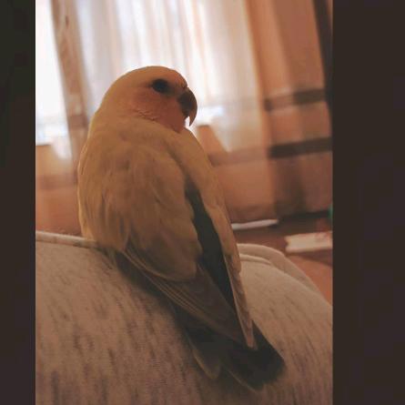 流浪地球来做人ƪ(˘⌣˘)ʃ