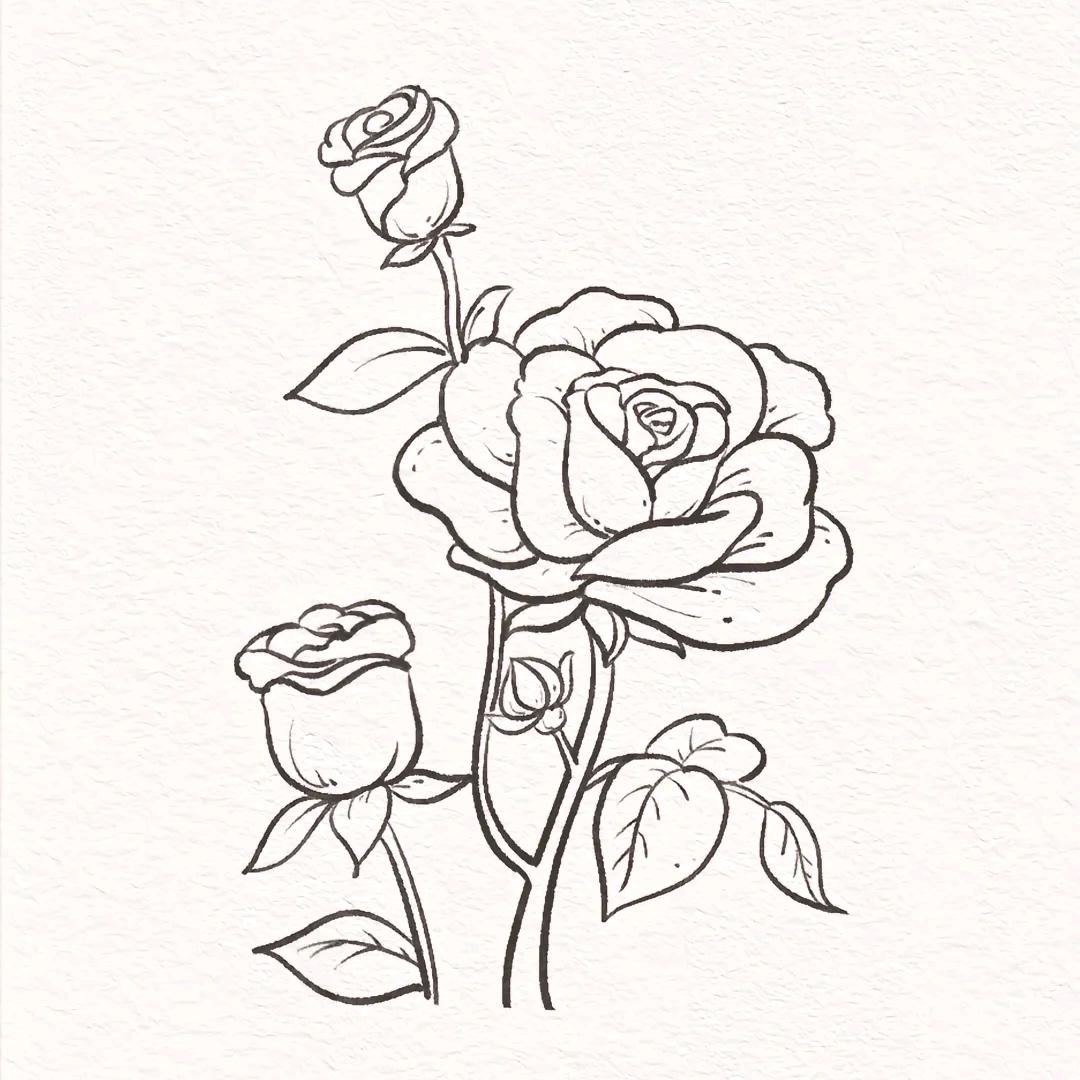 安溪县城厢梁秋生食品商行