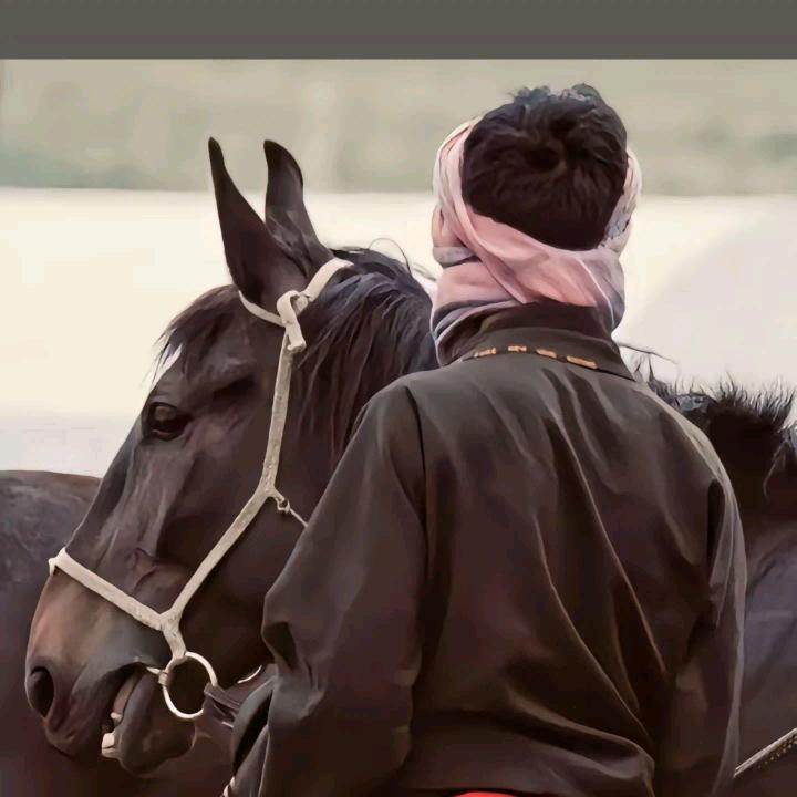 བཀྲ      ❤️     xi