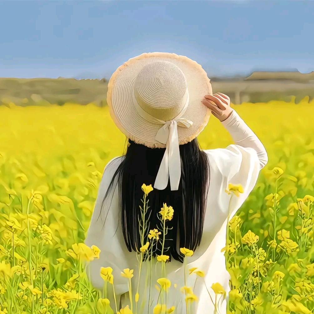 手机配件(充电器数据线)