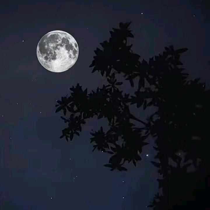 大西瓜