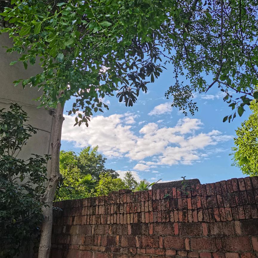 嘻嘻吖～
