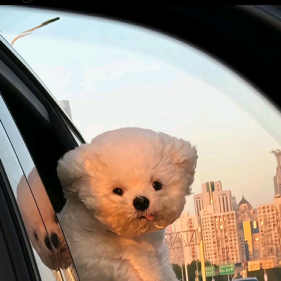 一米八徐徐