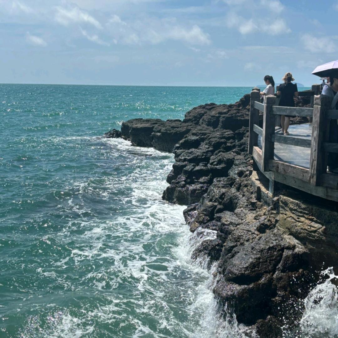 沧海樱绰