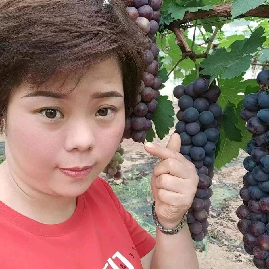🌙密姐399