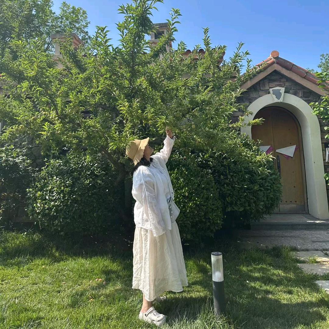 洛心🍀