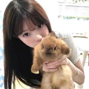 喵喵咪