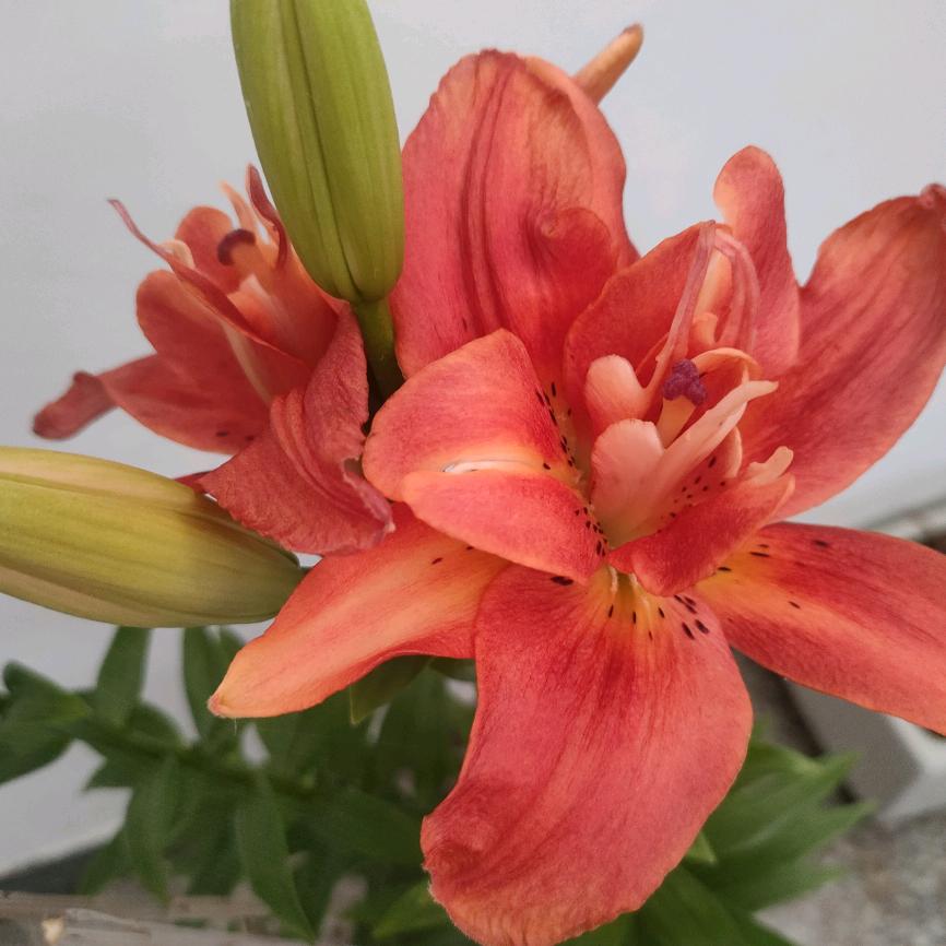 2022.4.12永远思念我的宝贝儿子