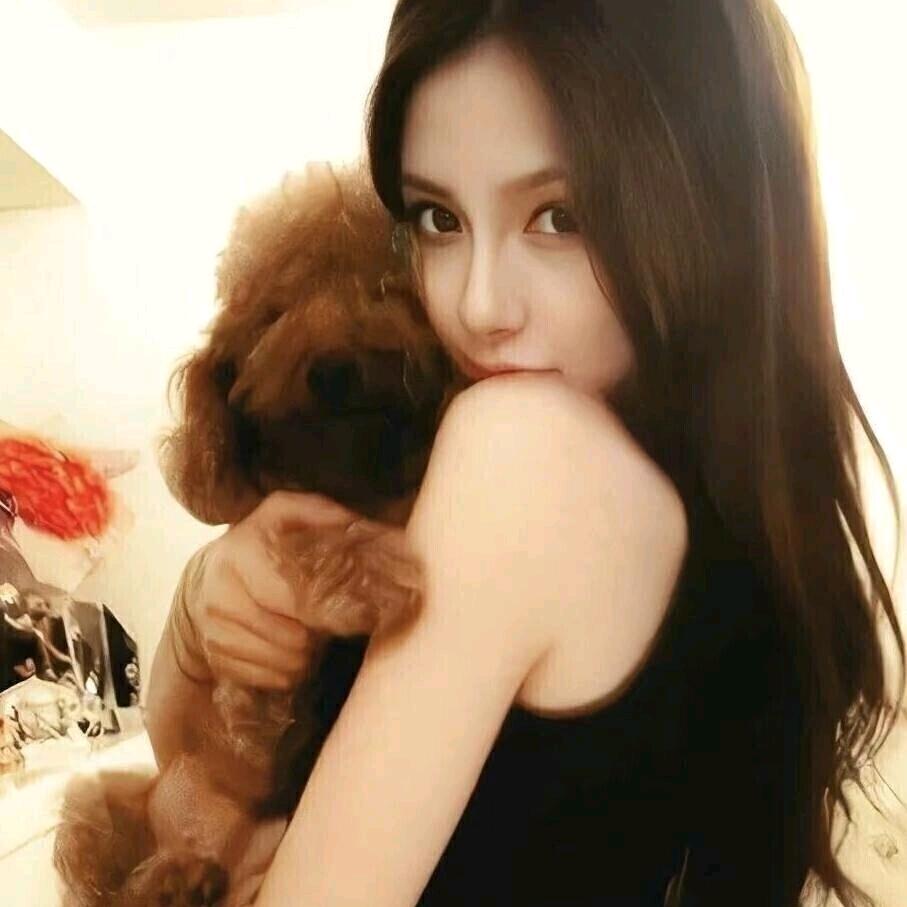 1流汗的鲨鱼