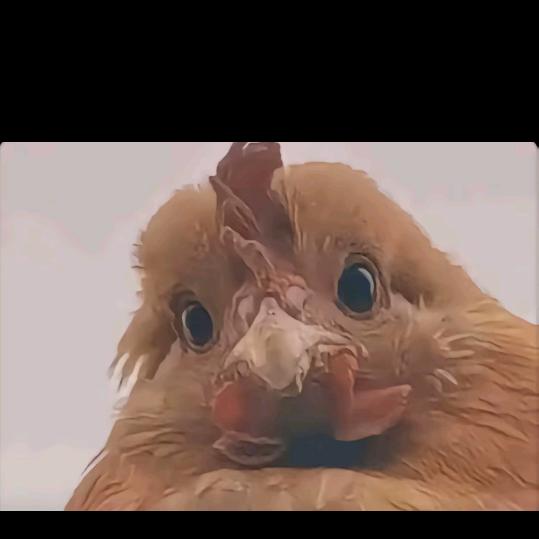 昭昭如愿，岁岁安澜