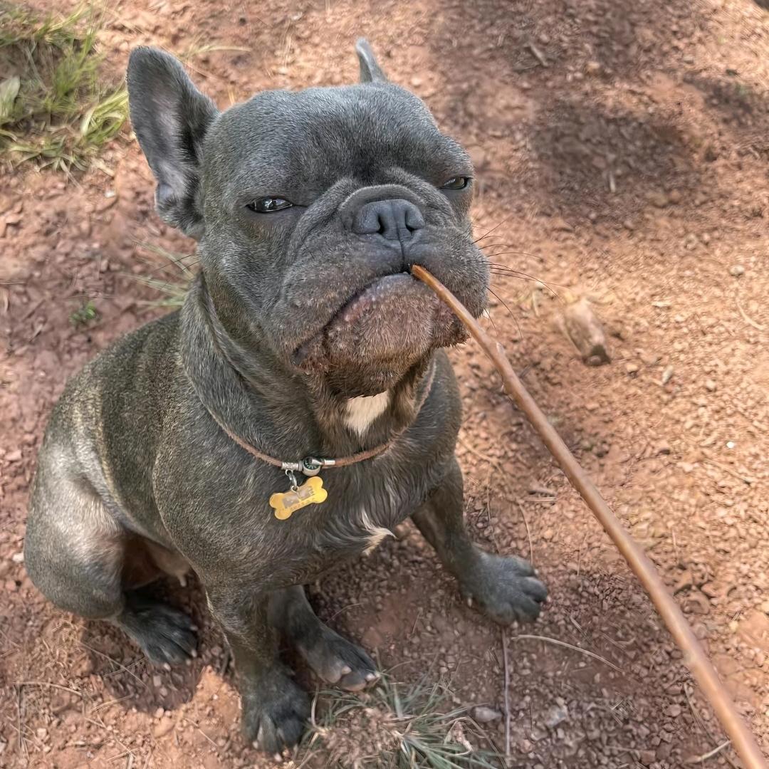 钓大大大大大大大大大鱼佬🎣