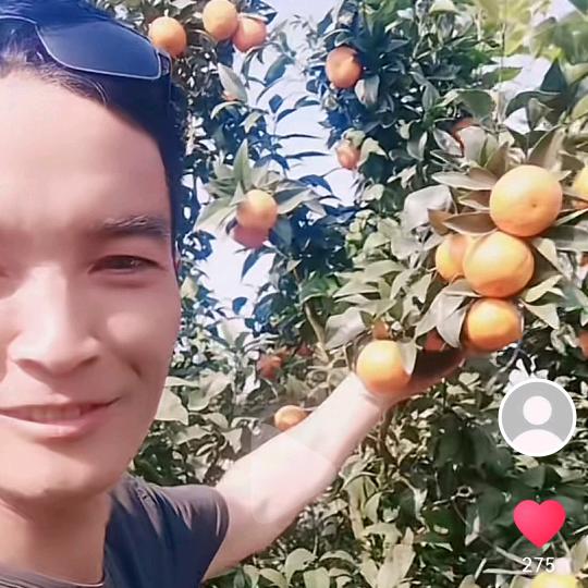 美好明天🌹🌹🌹